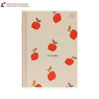 Zeszyt A5/32 linia Interdruk