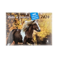 Kalendarz wieloplanszowy Konie w plenerze WL10