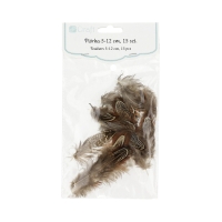 Piórka ozdobne bażanta 5-12cm (15)