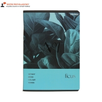 Zeszyt A5/96 kratka Botany Top2000 400182448