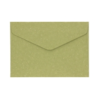 Koperty C6 oliwkowe Wood 120g (10)