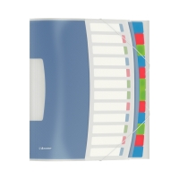 Teczka segregująca A4/12p Vivida Esselte 624030