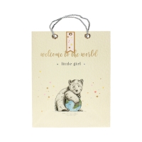Torebki ozdobne papierowe 32x12x26 Little Girl L - 5szt.
