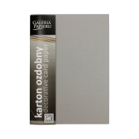 Karton wizytówkowy A4 210g jasnosrebrny Pearl (20)