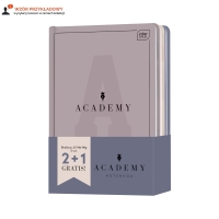 Brulion A5/96 kratka Academy Interdruk 90g - 3szt.
