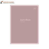 Zeszyt A5/32 kratka Hybrid Words Interdruk