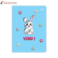 Zeszyt A5/16 linia kolor UV Yuhu Interdruk