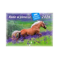 Kalendarz wieloplanszowy Konie w plenerze WL10