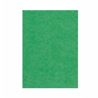 Karton kolor A1 zielony 160g Argo