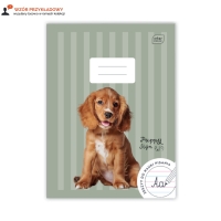 Zeszyt A4/32 linia kolor Interdruk