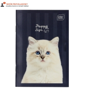 Zeszyt A6/16 słówek Interdruk