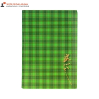 Brulion A4/300 kratka TO Kreska