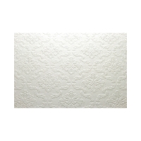 Karton wizytówkowy A4 230g Ornament biały (20)