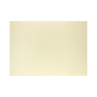 Karton wizytówkowy A3 270g biały Millenium (20)
