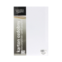 Karton wizytówkowy A4 160g biały gładki (50)