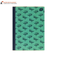 Zeszyt A5/16 linia kolor Interdruk