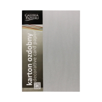 Karton wizytówkowy A4 180g Millenium srebrny (20)
