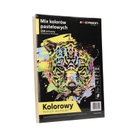 Papier ksero A4 80g mix kolorów pastelowych Emerson (250)