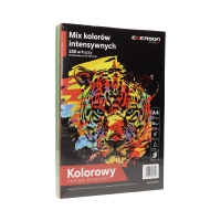 Papier ksero A4 80g mix kolorów intensywnych Emerson (250)