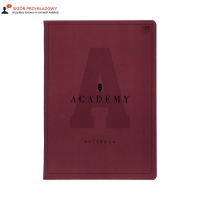 Zeszyt B5/60 kratka Academy Interdruk 90g
