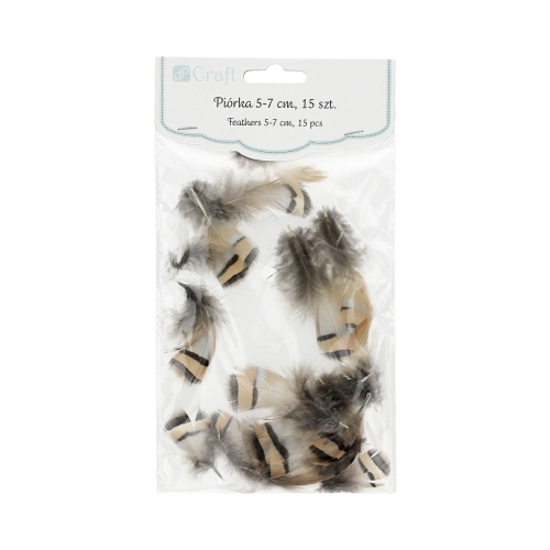 Piórka ozdobne bażanta 5-7cm (15)
