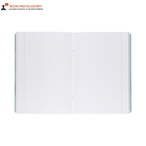 Zeszyt A5/80 kratka Botany Top2000 400181619