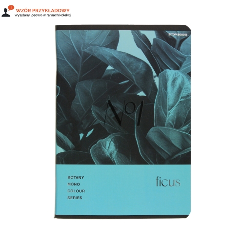 Zeszyt A5/96 kratka Botany Top2000 400182448