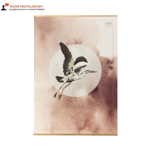 Zeszyt A4/60 linia Metallic Satin Gold Interdruk 70g