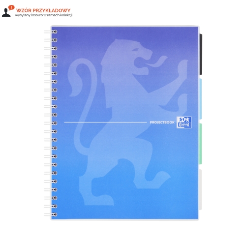 Kołozeszyt A4/80 kratka Project Book Oxford 400182937
