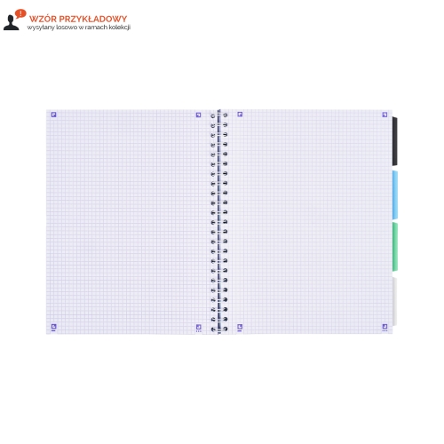 Kołozeszyt A4/80 kratka Project Book Oxford 400182937