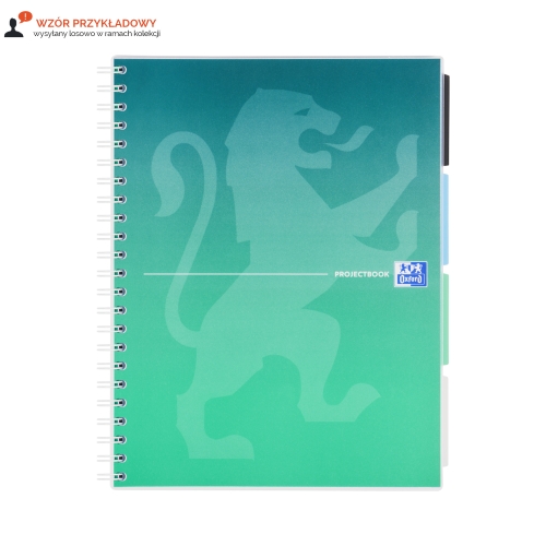 Kołozeszyt B5/80 kratka Project Book Oxford 400182993