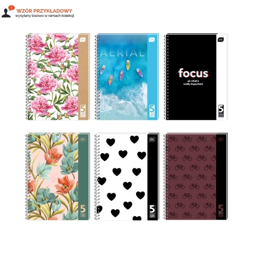 Kołozeszyt A4/100 kratka 5kol register Interdruk