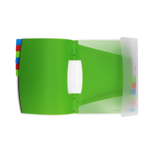 Teczka segregująca A4/12p Vivida Esselte 624030