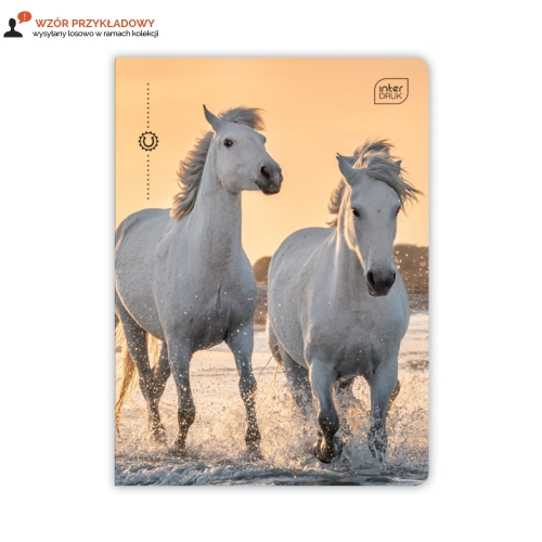 Zeszyt A5/16 kratka UV Wild Horses Interdruk 70g