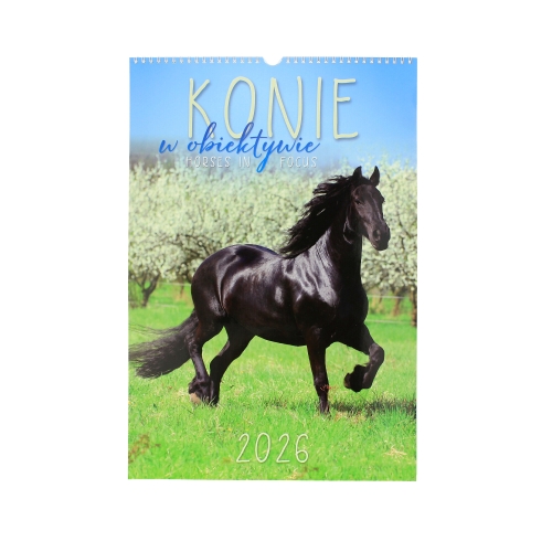Kalendarz wieloplanszowy Konie w obiektywie RW14
