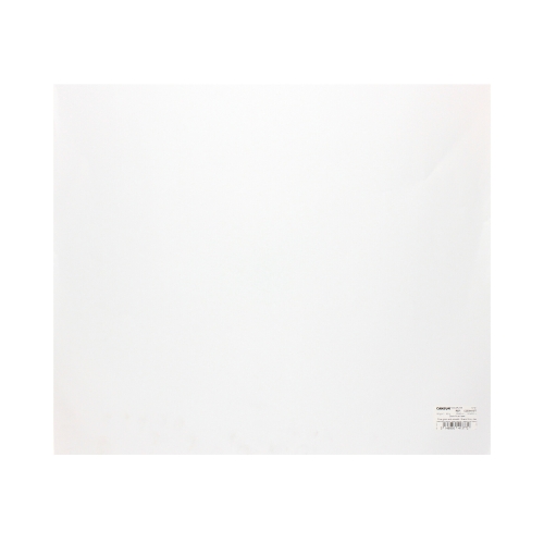 Karton kolor 50x65 biały 150g Canson 01