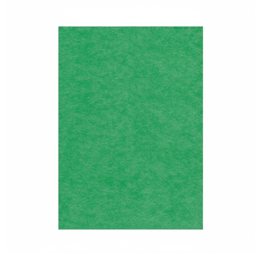 Karton kolor A1 zielony 160g Argo