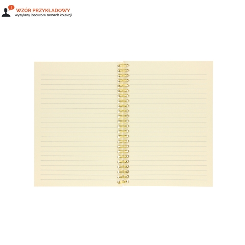 Kołonotatnik A5/80 linia Golden&Silver Mintra