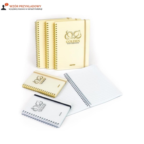 Kołonotatnik A5/80 linia Golden&Silver Mintra