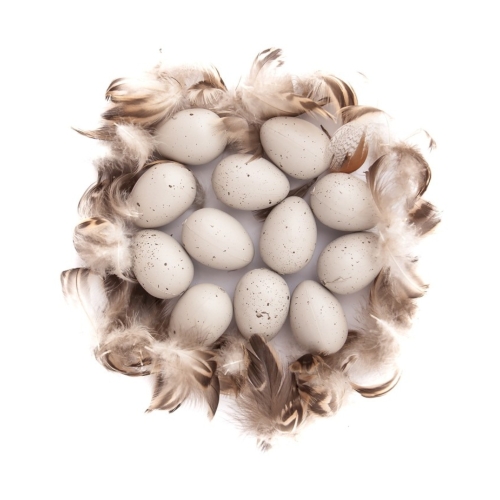 Jajka przepiórcze z piórkami beżowe