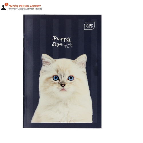 Zeszyt A6/16 słówek Interdruk