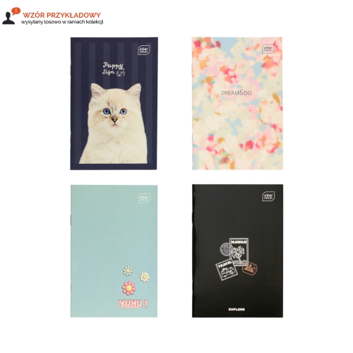 Zeszyt A6/16 słówek Interdruk