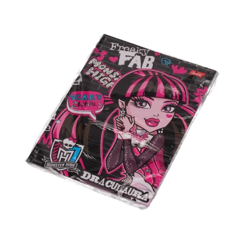 Wkład segregator MonsterHigh A5/20 wzór6