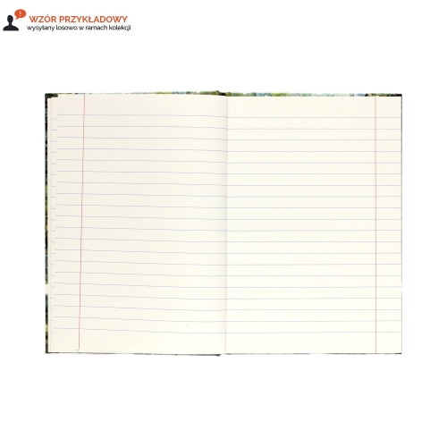 Brulion A5/96 linia TO