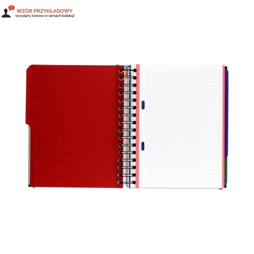 Kołonotatnik A5/100 kratka Oxford European