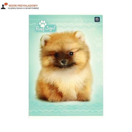 Zeszyt A5/32 kratka PupySign Interdruk