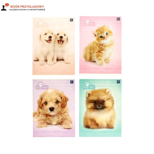 Zeszyt A5/32 kratka PupySign Interdruk