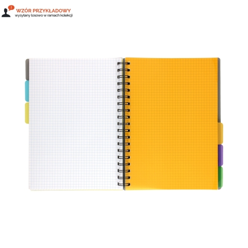 Kołozeszyt B5/120 kratka Dots 104015006