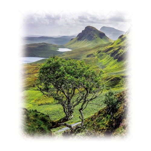 Kalendarz ścienny notatnikowy Pejzaże WN08