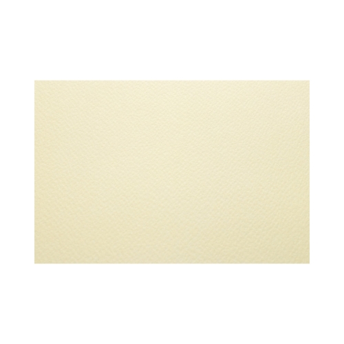 Karton wizytówkowy A4 200g Sawanna krem (20)